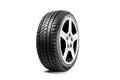 Ovation W586 winter tire